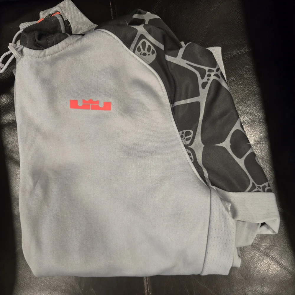 Men's Nike Lebron Sneaker and Hoodie Set - Picture 13 of 14